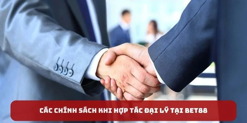Các chính sách khi hợp tác đại lý tại Bet88