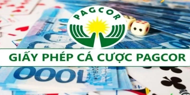 Các loại chứng nhận phổ biến