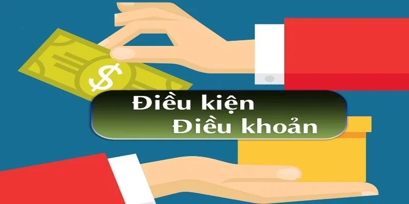 Những quy định cụ thể về các điều khoản điều kiện và chính sách