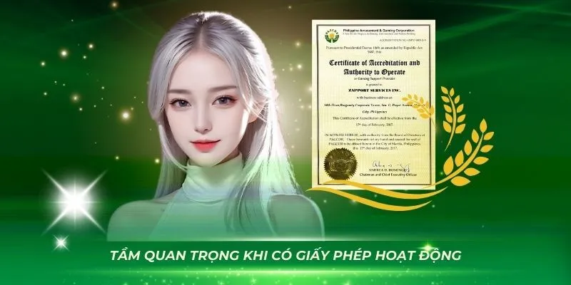Vai trò của giấy phép